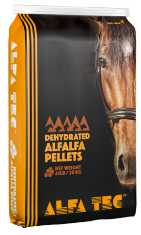 Alfa Tech Cubes - Dehydrated Alfalfa Pellets - Source For Horse