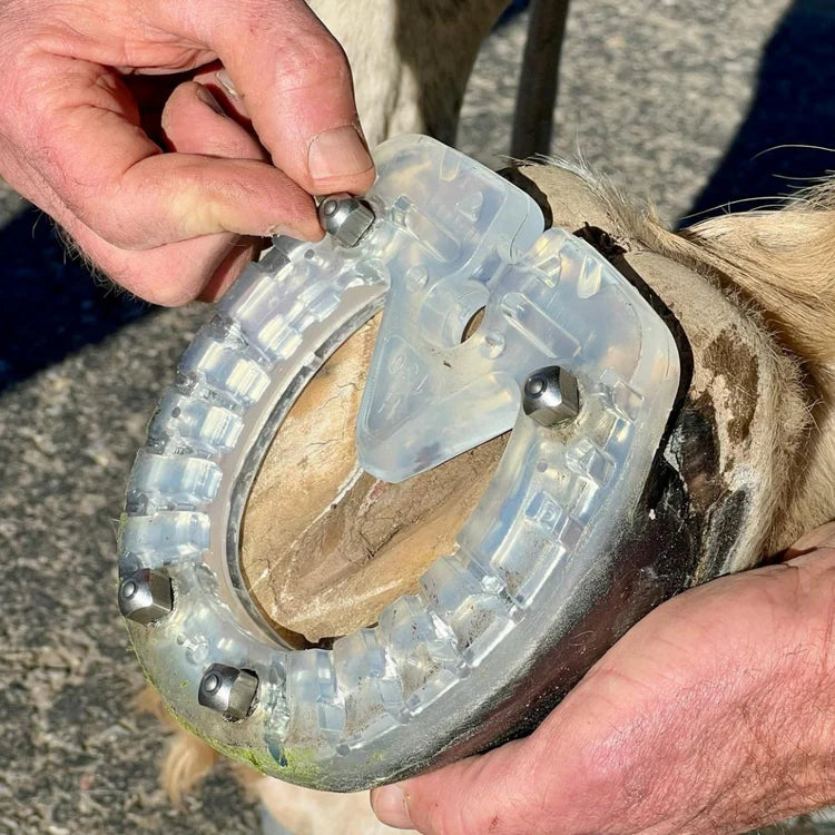 Easy Shoe - Metal Speed Trac - Stud Holes Glue on or Nail On - Source For Horse