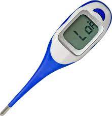 Kerbl Large Display Digital Thermometer - Source For Horse