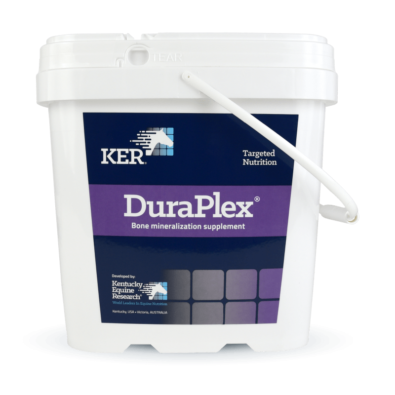 DuraPlex - Source For Horse