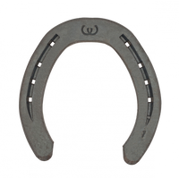 Werkman Warrior - Source For Horse