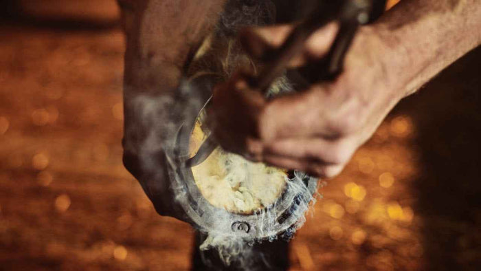 Facts About Steel and Aluminum Horseshoes - Source For Horse Farrier Supply