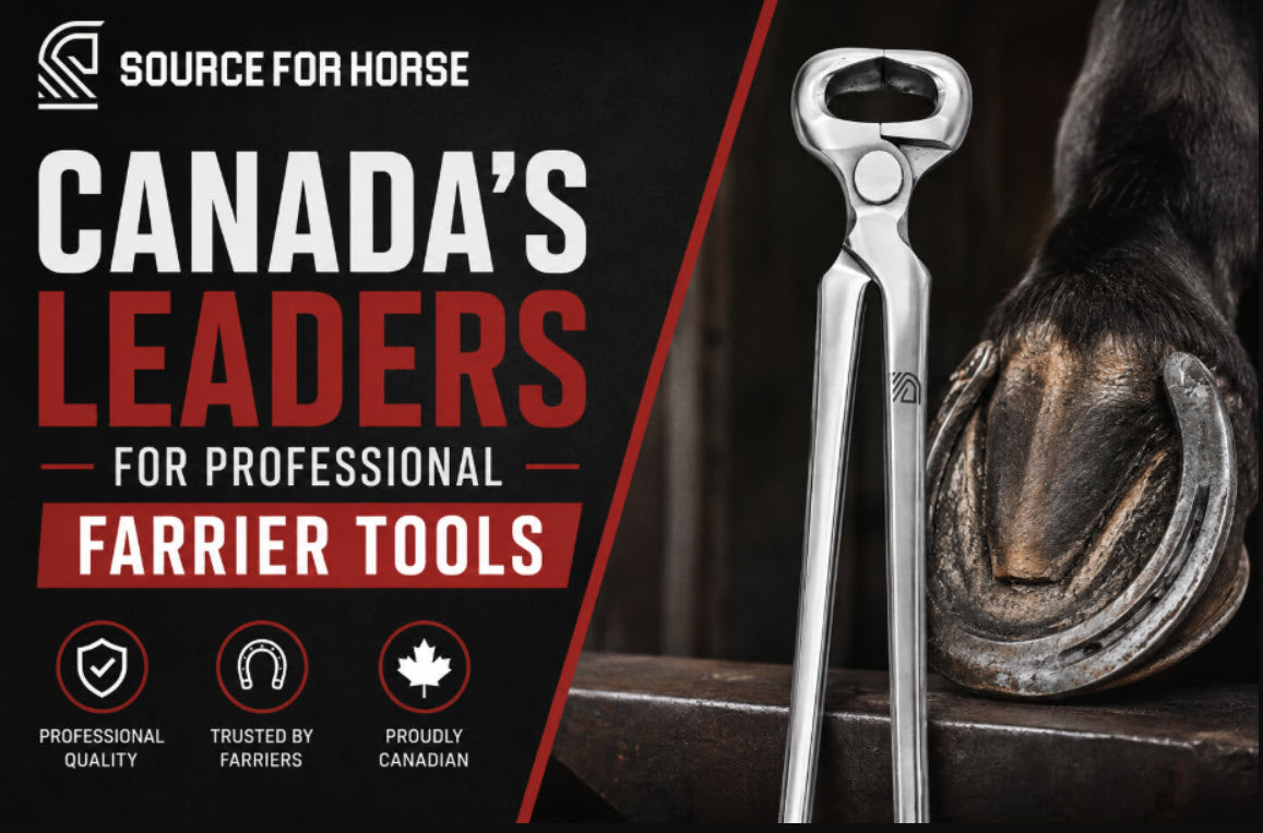 How to Choose the Right Farrier Tools for Every Hoof Care Job