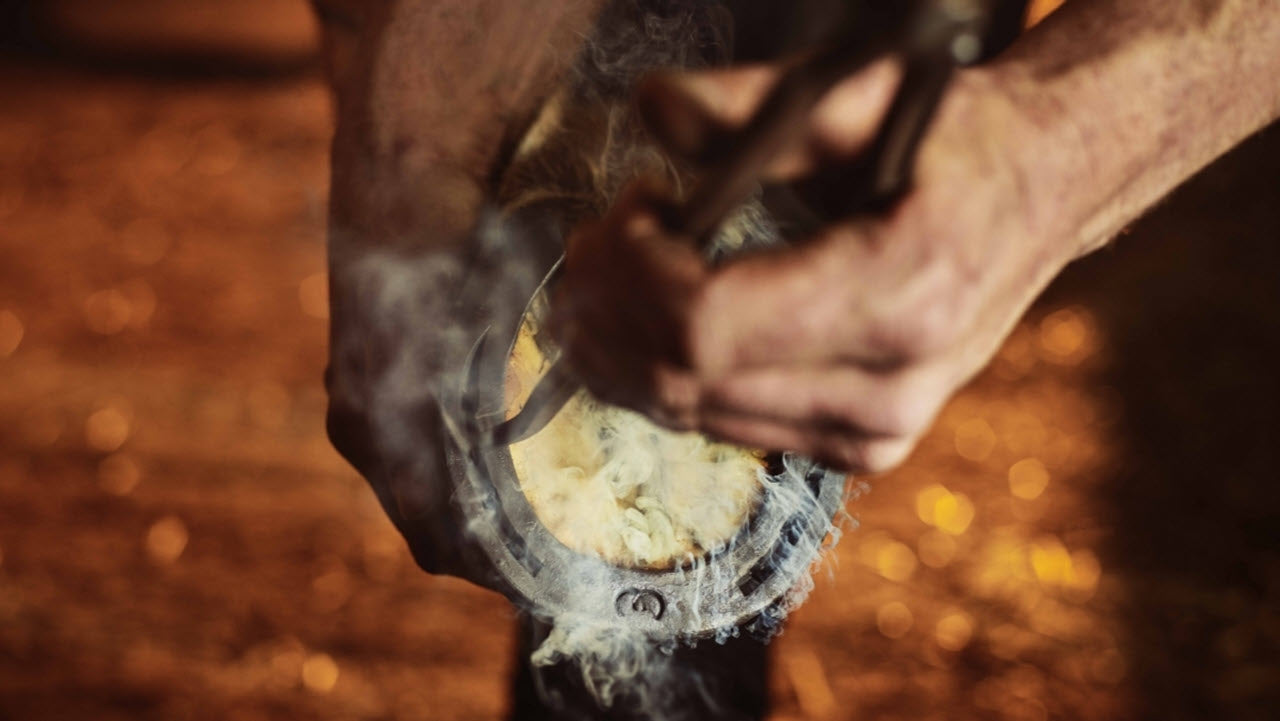 Farrier shoeing a horse