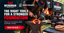 A Complete Guide to the Werkman Hoofcare Line at Source for Horse - Source For Horse Farrier Supply