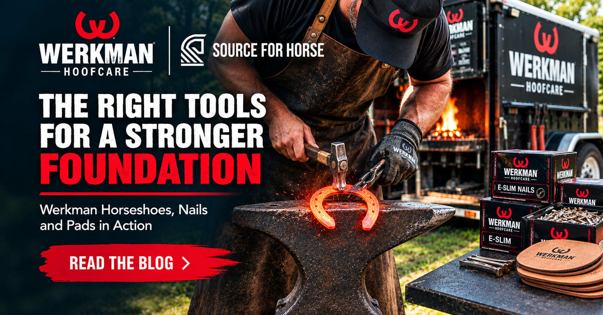 A Complete Guide to the Werkman Hoofcare Line at Source for Horse - Source For Horse Farrier Supply