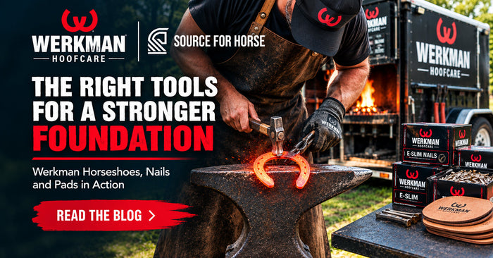 A Complete Guide to the Werkman Hoofcare Line at Source for Horse - Source For Horse Farrier Supply
