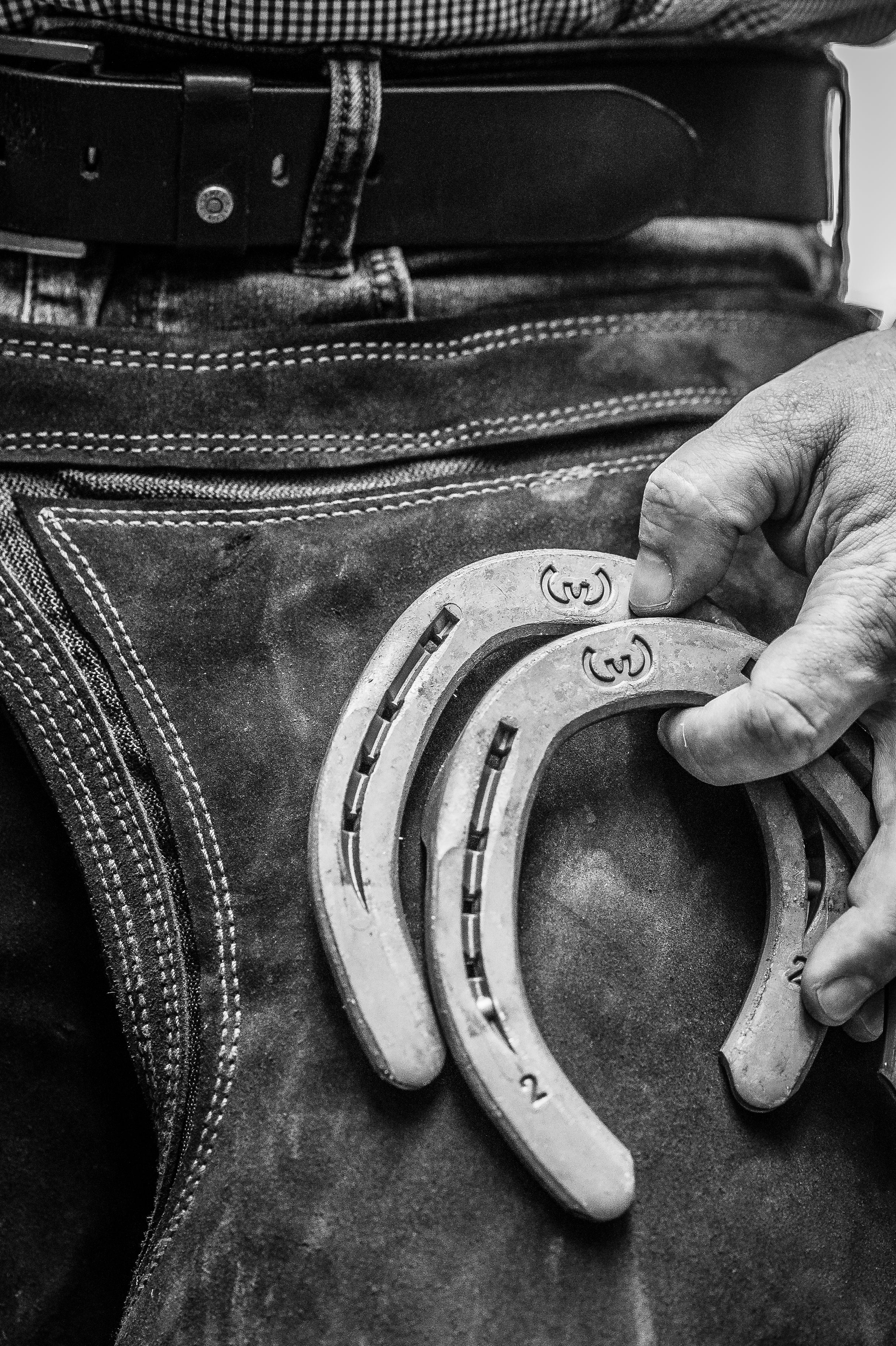 Werkman Hero - Source For Horse Farrier Supply