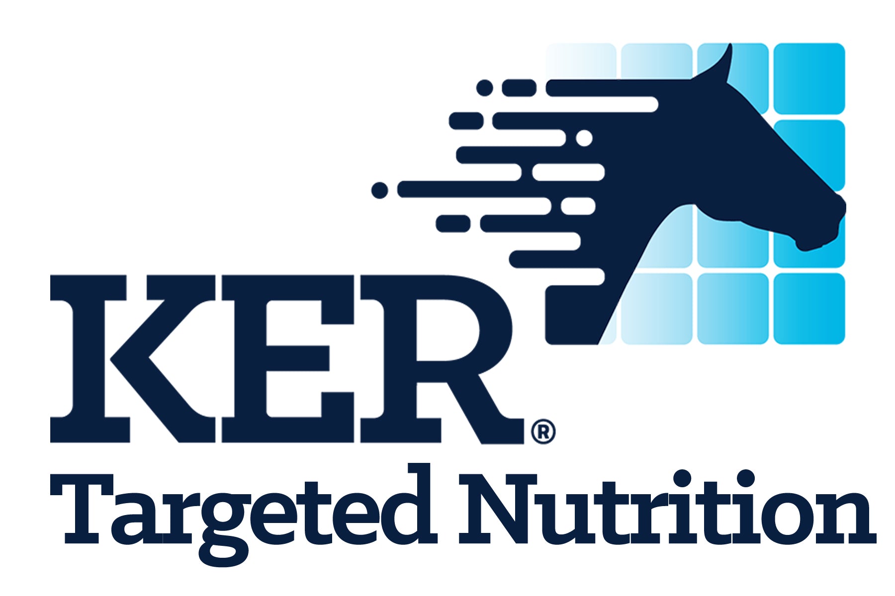Industry Leading Farrier Supply Brands