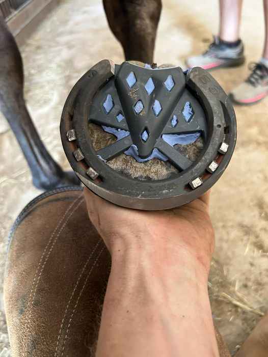 Austin Eden Plexus Pads - Source For Horse Farrier Supply