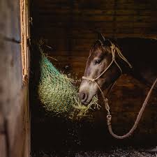 Nag Bags- Hay Net - Source For Horse