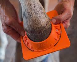 Mustad Rose Adjustable Foal Shoe