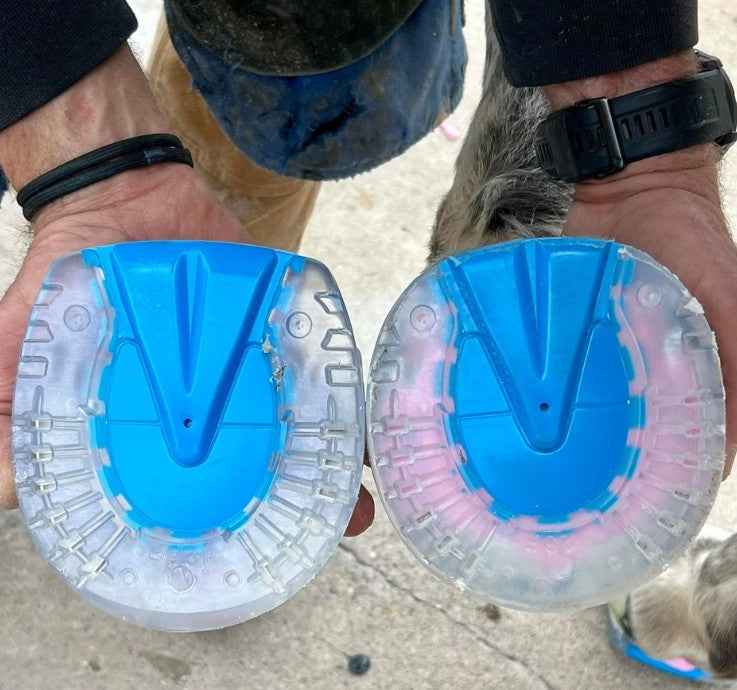 EasyShoe ONE Glue-On Horseshoes - Source For Horse Farrier Supply