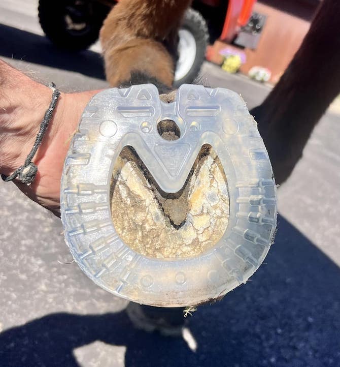 Easy Shoe - Speed Glue On - Source For Horse