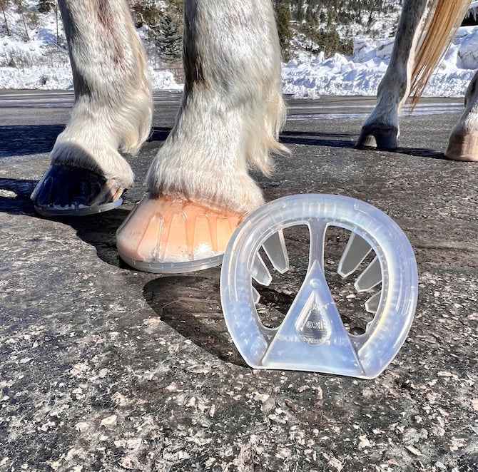 EasyShoe 3D HoofCare Glue-On Horseshoes - Source For Horse Farrier Supply