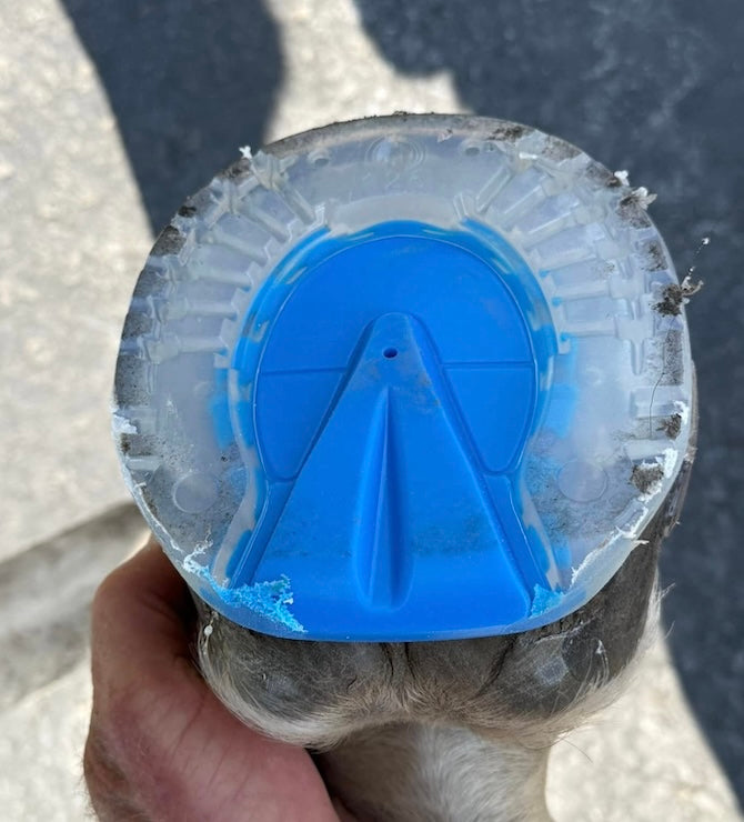 Easy Care ONE Sticky - Source For Horse