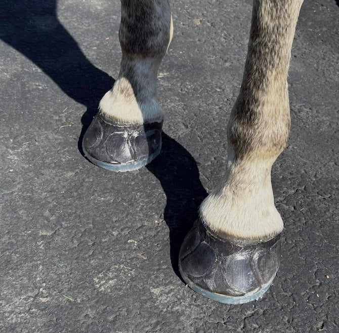Easy Care ONE Sticky - Source For Horse Farrier Supply