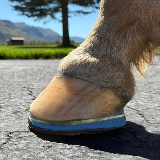 Easy Shoe Triple D - Source For Horse Farrier Supply