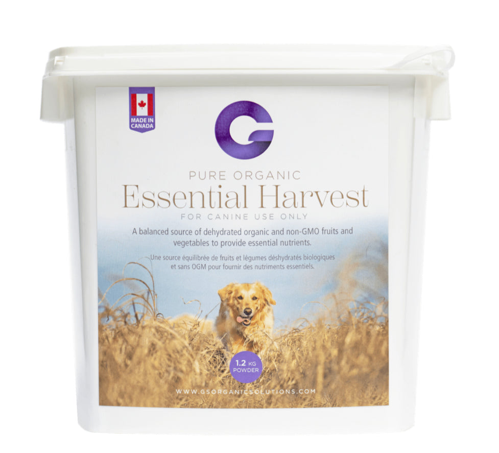 G's Essential Harvest For Dogs - Source For Horse