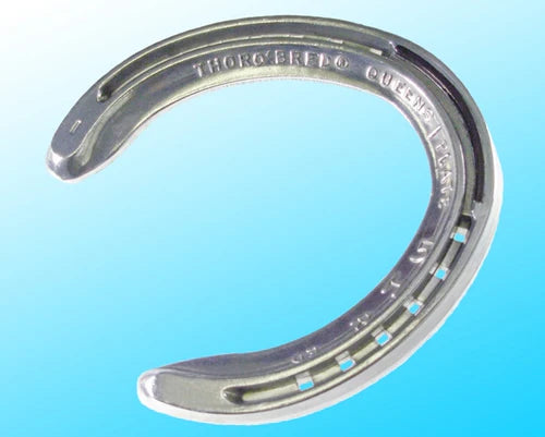 Thoroughbred Ed Queen  Race Aluminum 2 degree toe clip - HIND - Source For Horse