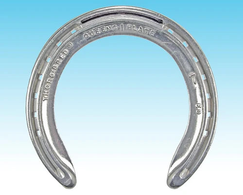 Thoroughbred Ed Queen  Race Aluminum unclipped - FRONTS - Source For Horse