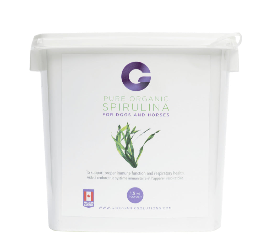 G's Spirulina - Source For Horse
