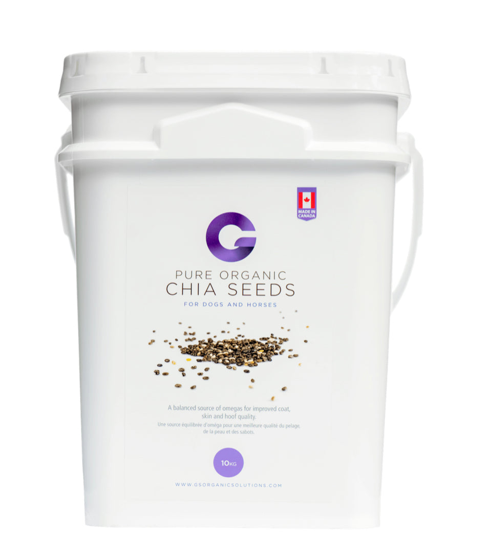 G's Pure Organic Chia Seeds (10kg) - Source For Horse