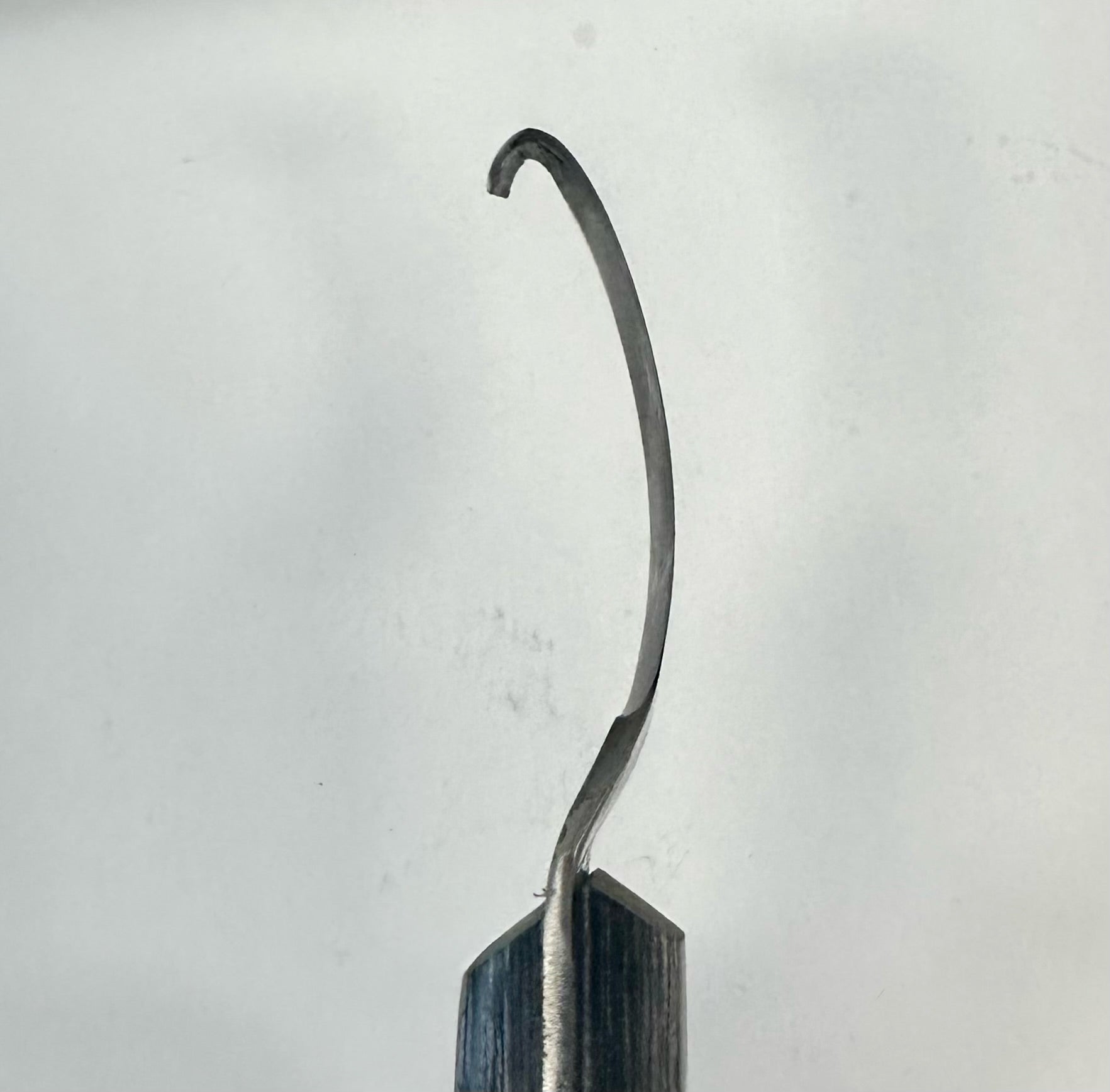 Source For Horse Hoof Knife - Thick Blade - Source For Horse