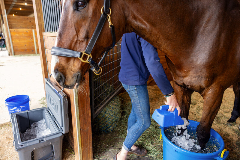 YETI Tundra Cooler - Source For Horse Farrier Supply