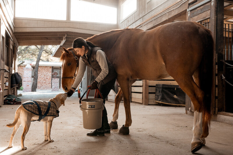 YETI LoadOut Bucket 20 Litre - Source For Horse Farrier Supply
