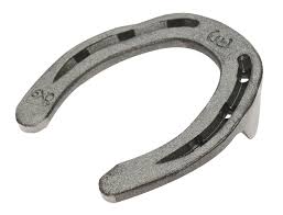 Werkman Ryder - Source For Horse