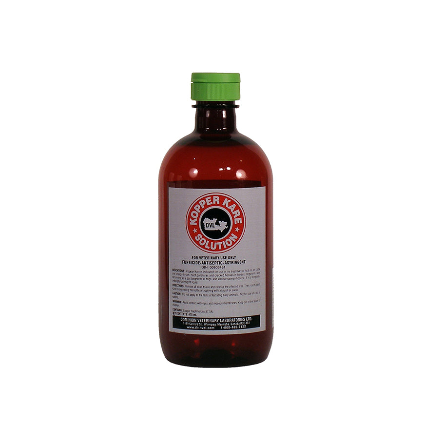 DVL Kopper Kare - Source For Horse