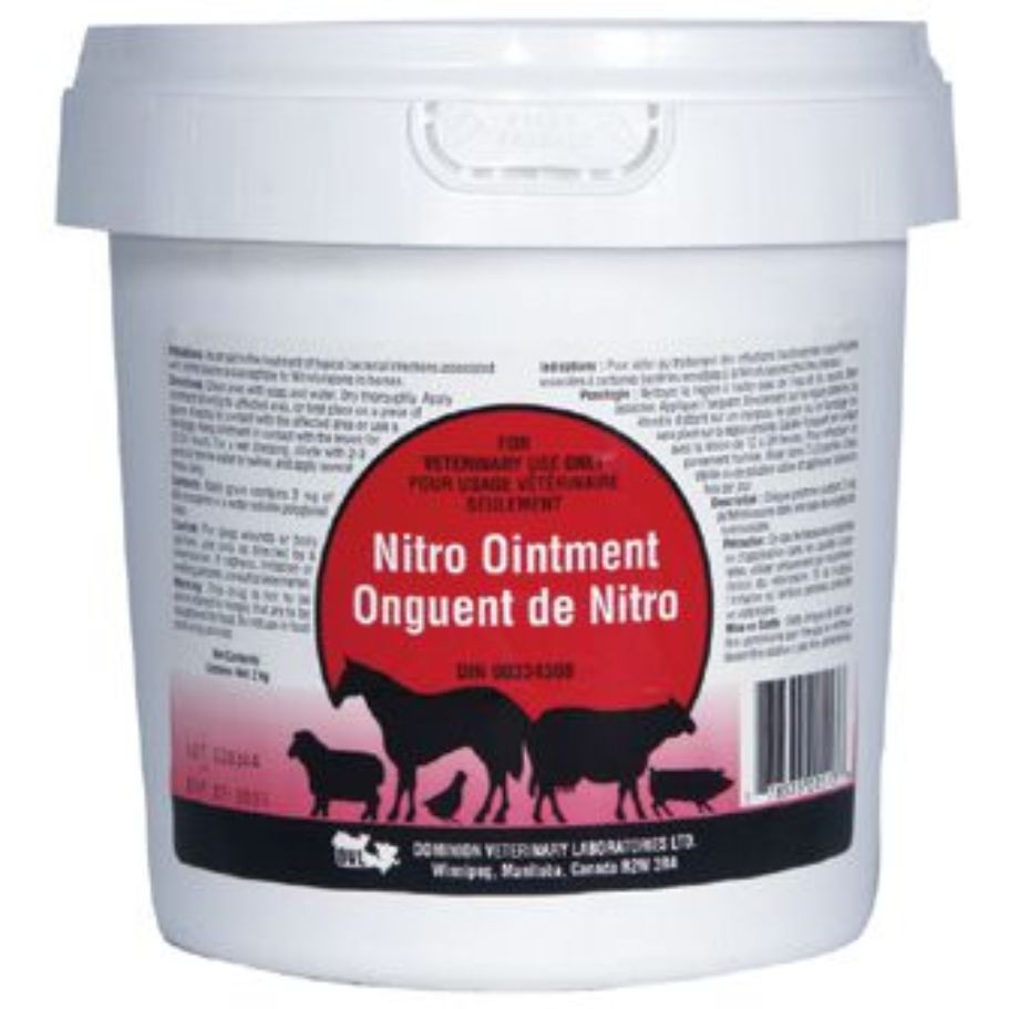 DVL Nitro Ointment - Source For Horse