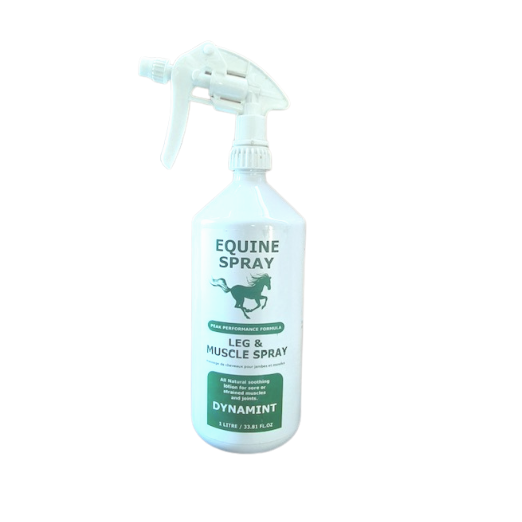 Dynamint Equine Spray 1L - Source For Horse