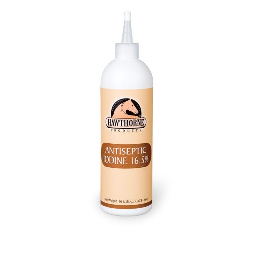 Churchill’s 16.5 % Iodine - Source For Horse