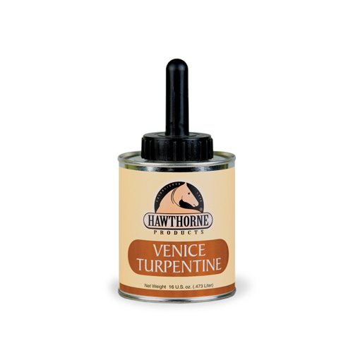 Venice Turpentine with Brush - Source For Horse
