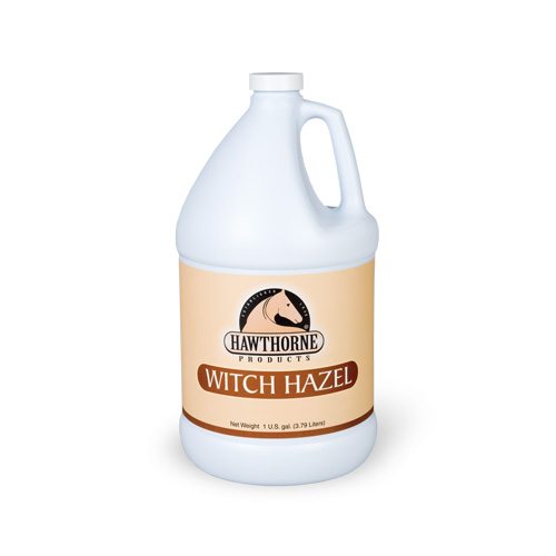 Witch Hazel, Gallon - Source For Horse