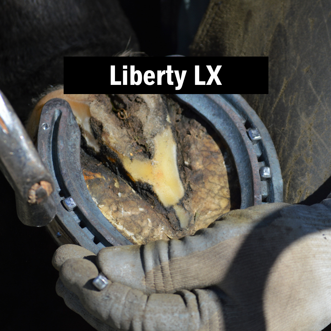 Liberty LX - Source For Horse