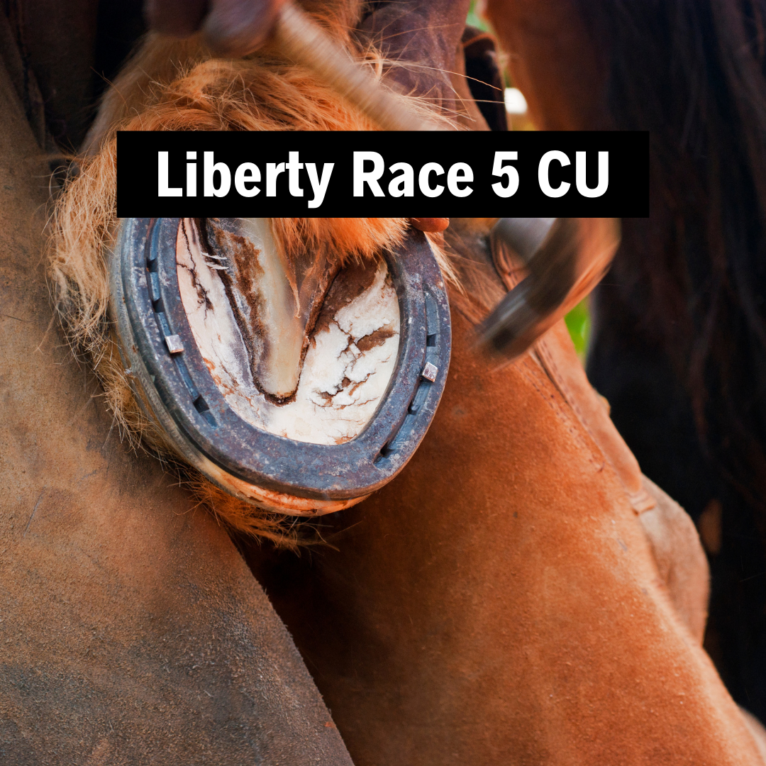 Liberty Race 5 CU - Source For Horse