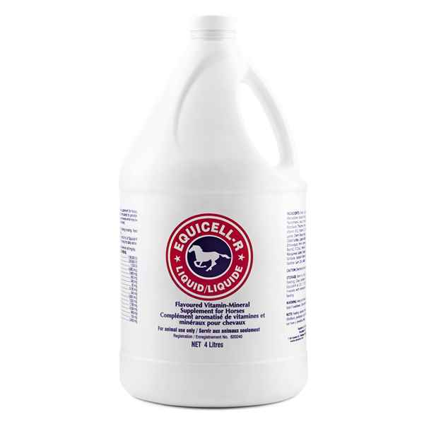 Equicell-R Liquid Vitamin-Mineral Supplement - Source For Horse