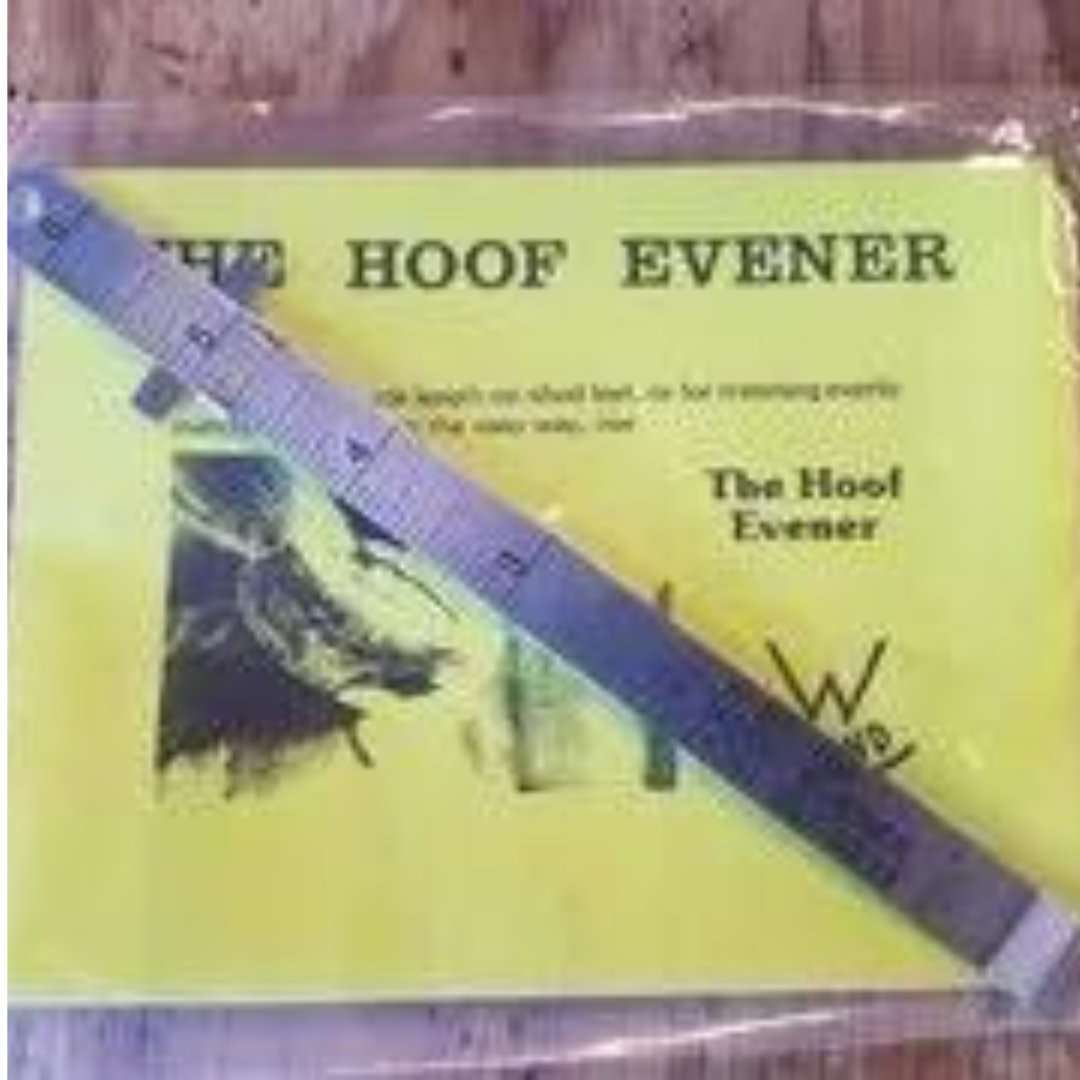 W-Brand Hoof Evener Toe Rule - Source For Horse