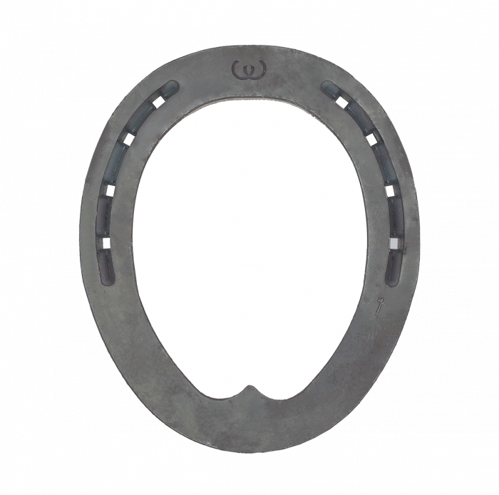 5 - 22x8 Eggbar SC - Source For Horse